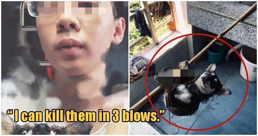 Masters Student Tortures, Dismembers Stray Dogs Before Cooking Them, Says He's Helping Society - WORLD OF BUZZ