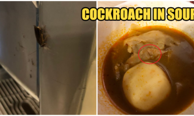 M'Sian Guy Had Disgusting Surprise When Found Cockroach Leg In Tomyam Soup At Steamboat Restaurant - World Of Buzz 2
