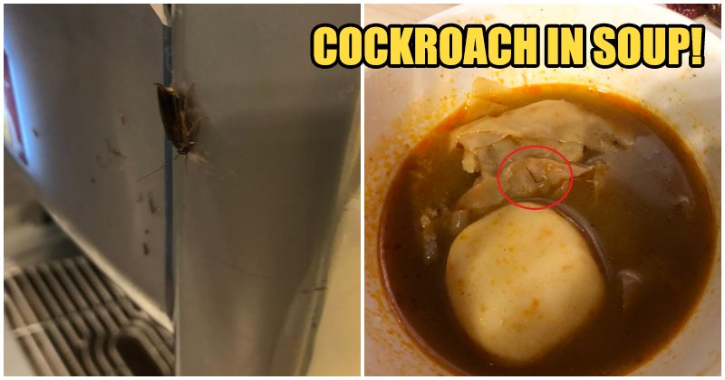 M'sian Guy Had Disgusting Surprise When Found Cockroach Leg IN TOMYAM SOUP At Steamboat Restaurant - WORLD OF BUZZ 2