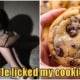 &Quot;My Uncle Licked My Cookie&Quot; M'Sian Teacher Ignores Child'S Claim Of Sexual Abuse Because She Didn'T Know The Name Of Her Genitals - World Of Buzz 8