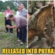 Netizens Outraged After People Released A Snapping Turtle Into The Putrajaya Lake - World Of Buzz