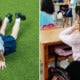 8Yo Paralysed In Lower Half Of Body After Being Forced To Do Push-Ups In School As Punishment - World Of Buzz