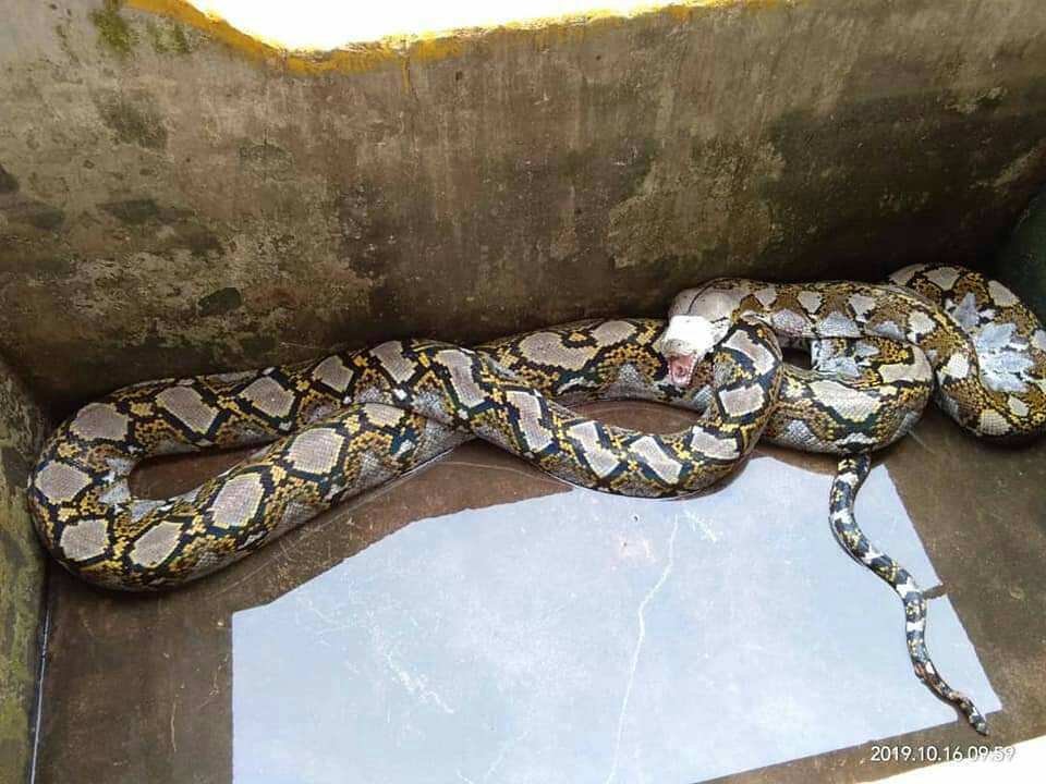 python 3