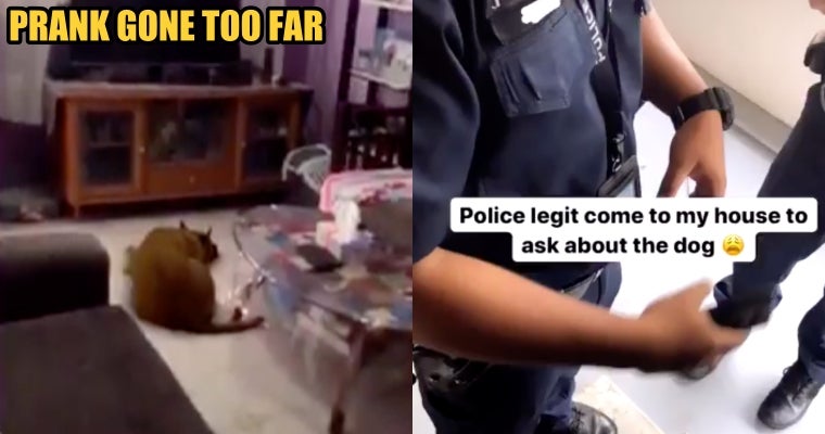 Singaporean Girl Pranks Mother By Telling Her A Dog Entered Their Home &Amp; Mum Calls The Police - World Of Buzz 1
