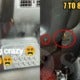 Singaporean Lady Met With 7-8 Cockroaches On Her Taxi Ride Because They Smelled Her Food - World Of Buzz