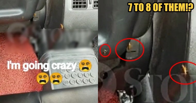 Singaporean Lady Met With 7-8 Cockroaches On Her Taxi Ride Because They Smelled Her Food - World Of Buzz