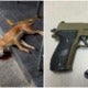 &Quot;They Bit My Kids&Quot; Says Man Who Mercilessly Shot 5 Dogs To Death Using Air Gun In Shah Alam - World Of Buzz 4