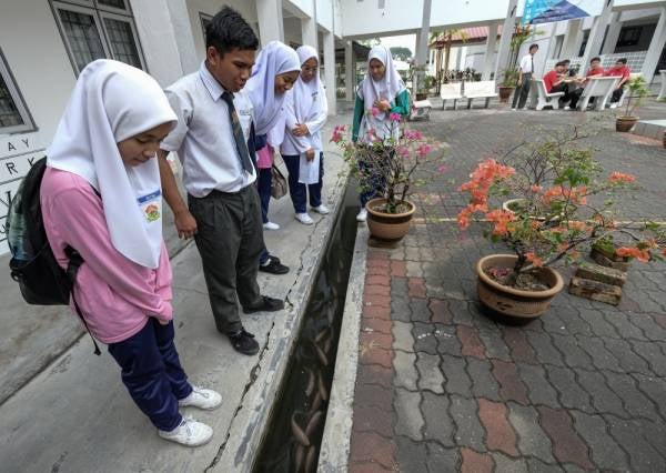 This Ipoh School Has Actual Fish Living In Their Longkang Just Like Japan! - WORLD OF BUZZ
