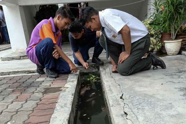 This Ipoh School Started Rearing Fish In Their Longkang For Only Rm100 &Amp; It Looks Awesome! - World Of Buzz 2