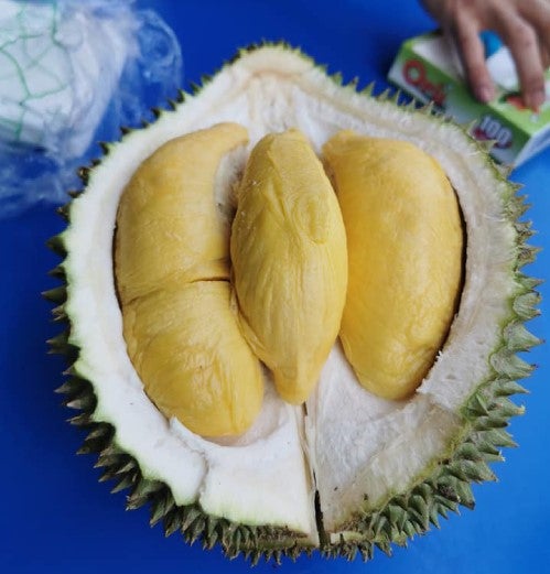 Tourists Pay Rm 540 For One Measly 2Kg Durian Because Of Stall's &Quot;Pay When You're Done&Quot; Policy - World Of Buzz 2