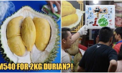 Tourists Pay Rm 540 For One Measly 2Kg Durian Because Of Stall'S &Quot;Pay When You'Re Done&Quot; Policy - World Of Buzz 3