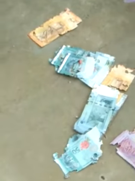 Uncle Kept Hard-Earned Cash At Home, Horrified To Find It Was Destroyed By Termites - WORLD OF BUZZ 4