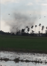 Video: Sudden Tornado In Kedah Damages Over 2 Dozen Homes, Sends Locals Panicking - WORLD OF BUZZ