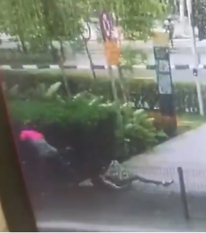 Watch: Motorcyclist Mercilessly Dragged Woman Through Asphalt Driveway in KL to Steal Her Purse - WORLD OF BUZZ