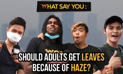 What Say You: Should Adults Get Leaves Because Of Haze? - World Of Buzz