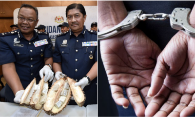 Woman Caught Smuggling More Than Rm950,000 Worth Of Drug Inside Frozen Durian - World Of Buzz 3