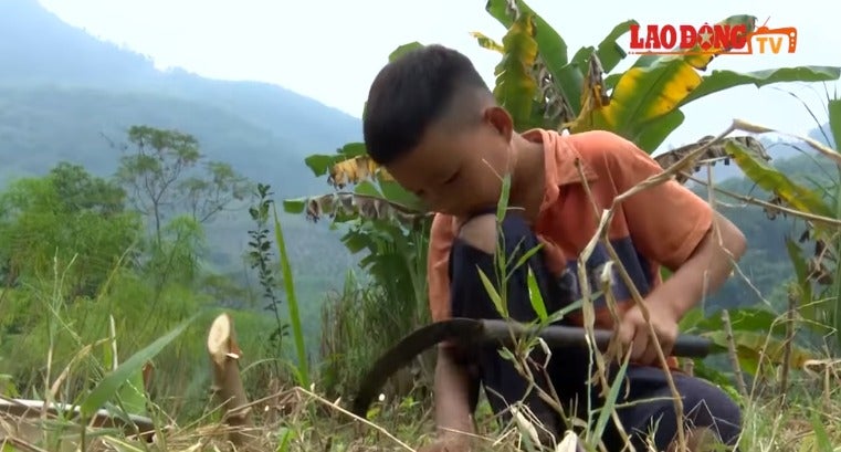 10Yo Boy Lives On His Own &Amp; Grows Vege To Survive After Grandma And Father Dies - World Of Buzz 6