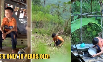 10Yo Boy Lives On His Own &Amp; Grows Vege To Survive After Grandma And Father Dies - World Of Buzz 8