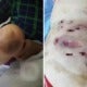 115 People Get Infection With Open Sores On Skin After Acupuncture As Needles Were Not Clean - World Of Buzz 4