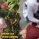 12Yo Chinese Girl Jumps To Her Death In Front Of Her Classmates After Her Teacher Humiliates Her - World Of Buzz 3