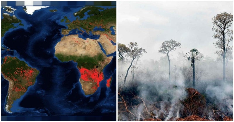 Africa On Fire: A Story That The World Conveniently Forgot - WORLD OF BUZZ 2