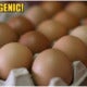 Beware: Indonesian Eggs Are Now Contaminated With Carcinogens, Hazardous To Health - World Of Buzz