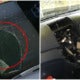 Beware: Local Thieves Are Now Breaking Into Parked Cars To Steal Baby Safety Seats - World Of Buzz 1