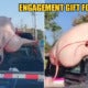 Dead Pig Spotted Wearing 'G-String' While Being Tied To Truck, Driver Says Its An Engagement Gift - World Of Buzz