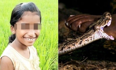 9Yo Girl Complains To Teachers About Venomous Snake Bite, Ends Up Dying After They Ignored Her - World Of Buzz