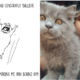 Guy Illustrates How His Adopted Cat Helped Him Deal With Depression - World Of Buzz 10