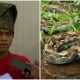 Heroic Kedah Oku Teen Rescues Mother By Wrestling 50Kg Python Which Attacked Her - World Of Buzz