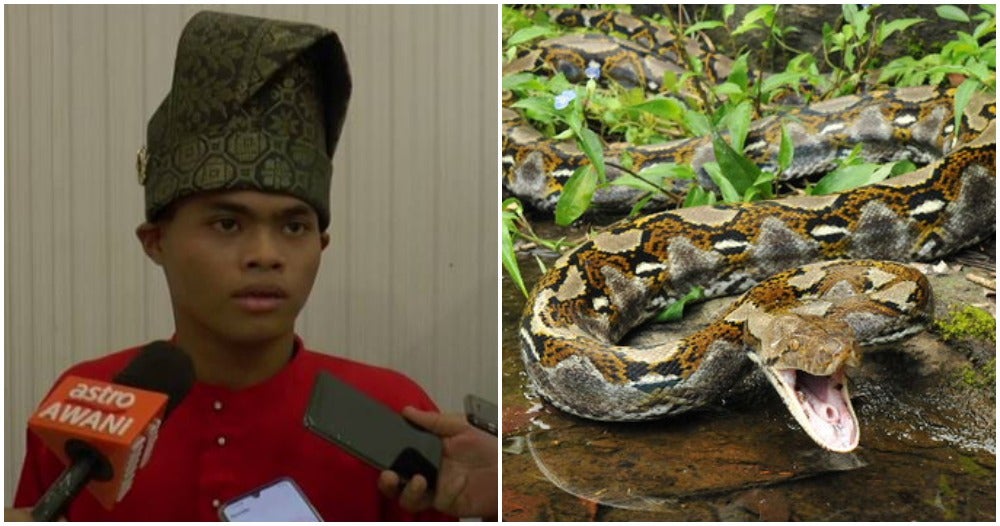 Heroic Kedah OKU Teen Rescues Mother By Wrestling 50KG Python Which Attacked Her - WORLD OF BUZZ