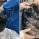Images Of Man'S Lungs Heavily Blackened By 30 Years Of Smoking One Pack A Day Go Viral - World Of Buzz 1