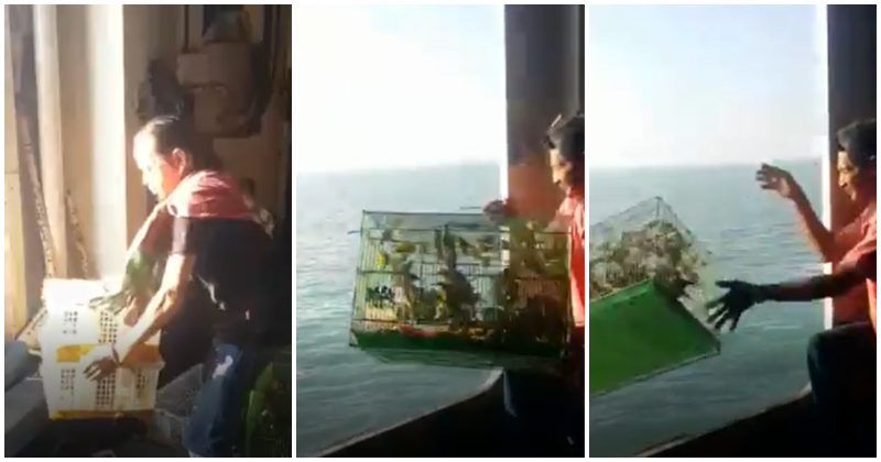 Malaysian Marine Cops Busted a Smuggling Attempt on 642 Exotic Animals - WORLD OF BUZZ