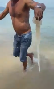 Man Manhandles Dangerous Jellyfish And Gives Tips If You Are Stung - WORLD OF BUZZ 2