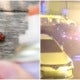 Man Tries To Kill Cockroach In His Kitchen Using Fire &Amp; Insecticide, Ends Up Setting 3 Cars On Fire - World Of Buzz 5