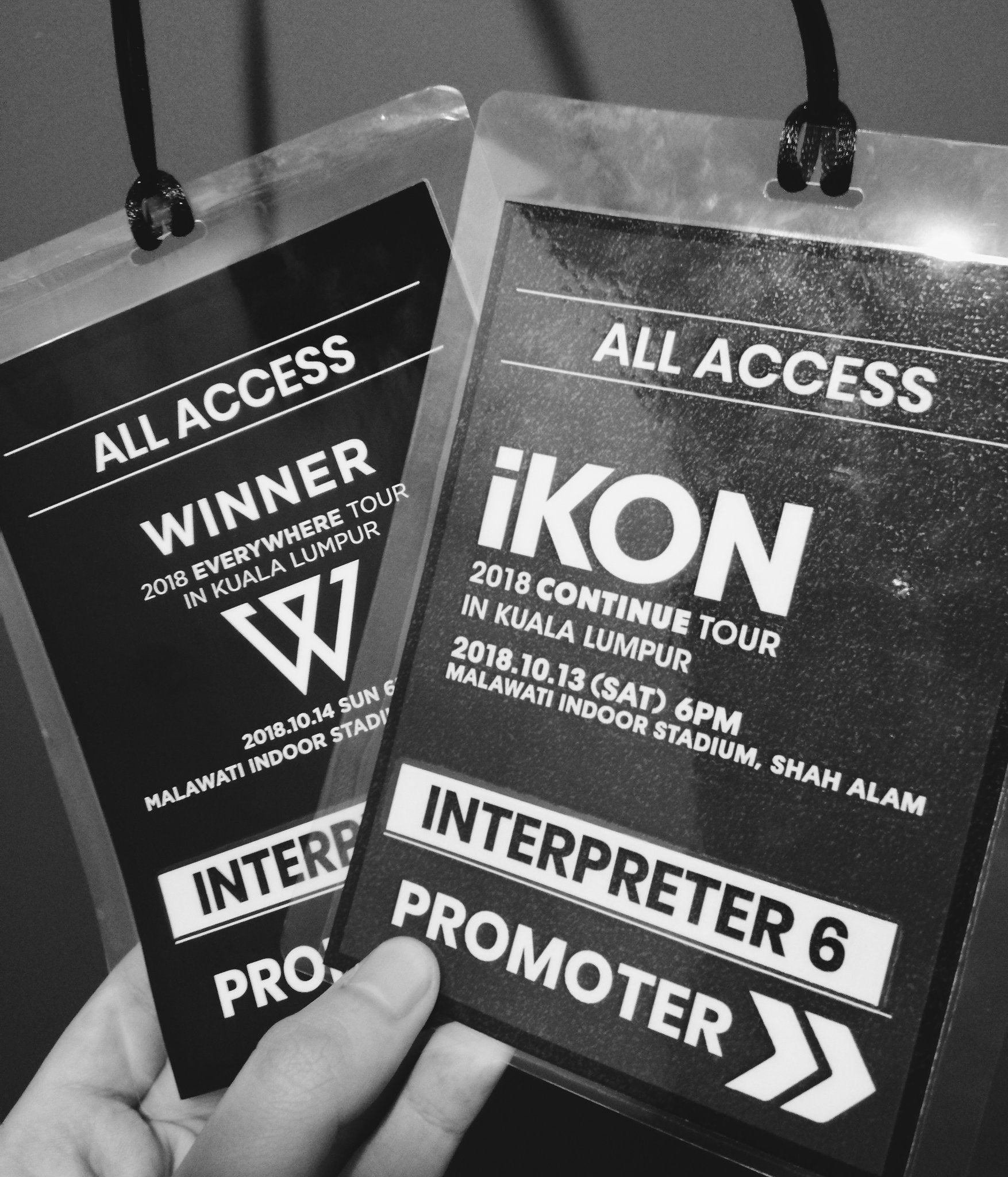 M'sian Who Failed Spm Because Of Chronic Migraines Is Now A Translator For Blackpink &Amp; Ikon! - World Of Buzz