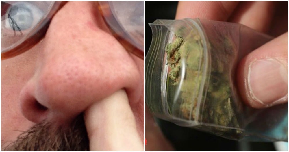 Australian Man Had Weed Packet Stuck In Nose For 18 Years, Said He Forgot About It - World Of Buzz