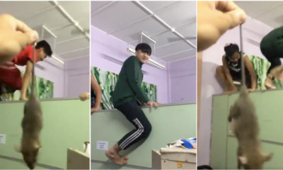 Students Went Full Parkour Because They Were Afraid Of A Mouse Teased By Their Dorm Mate - World Of Buzz 4