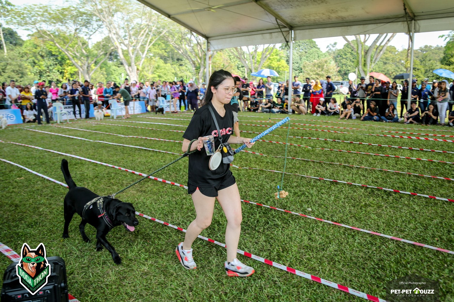 [Test] This Event In M'sia Has Over 700 Cute Doggos &Amp; Is Held In Conjunction With An Amazing Cause! - World Of Buzz 10