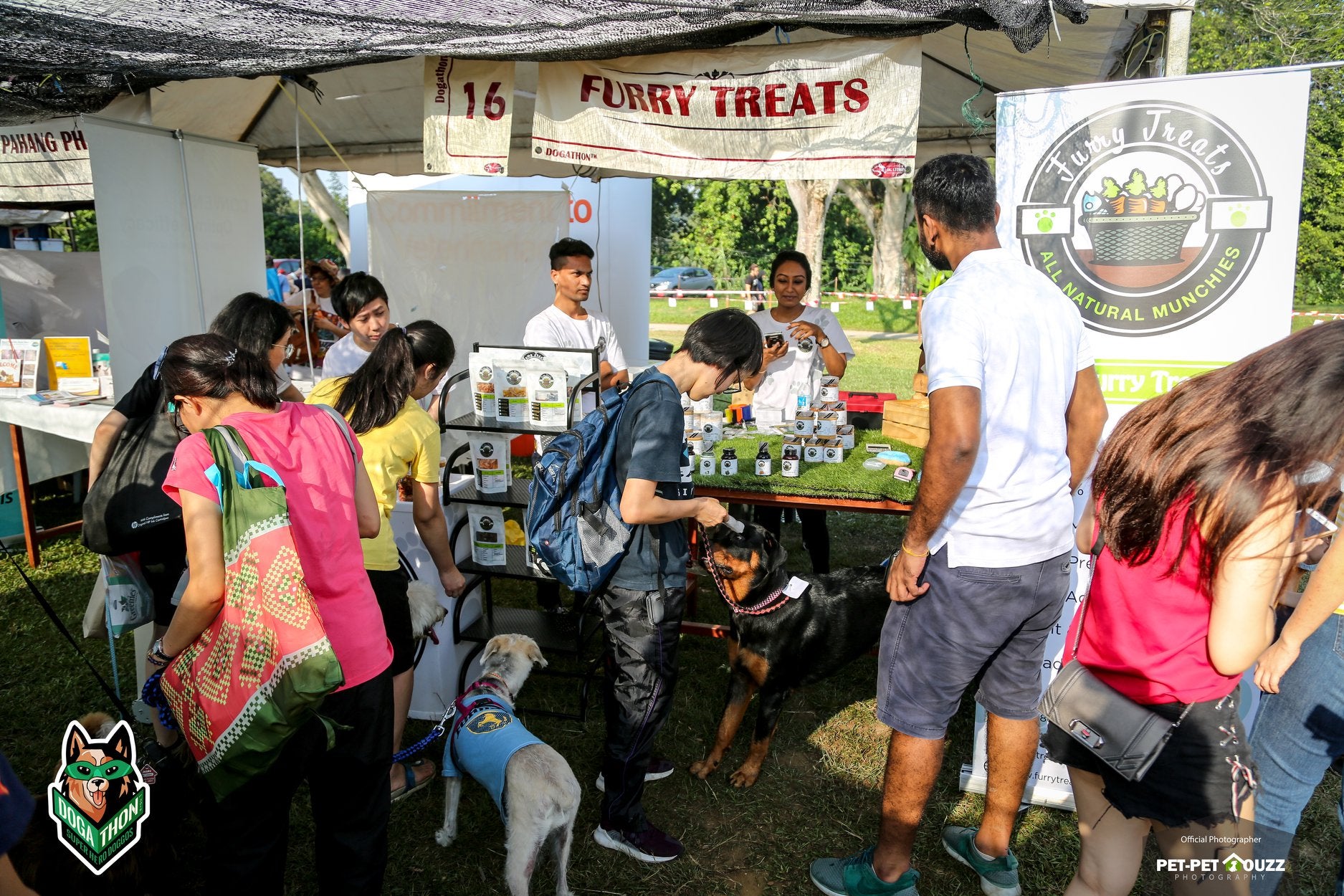 [Test] This Event In M'sia Has Over 700 Cute Doggos &Amp; Is Held In Conjunction With An Amazing Cause! - World Of Buzz 14