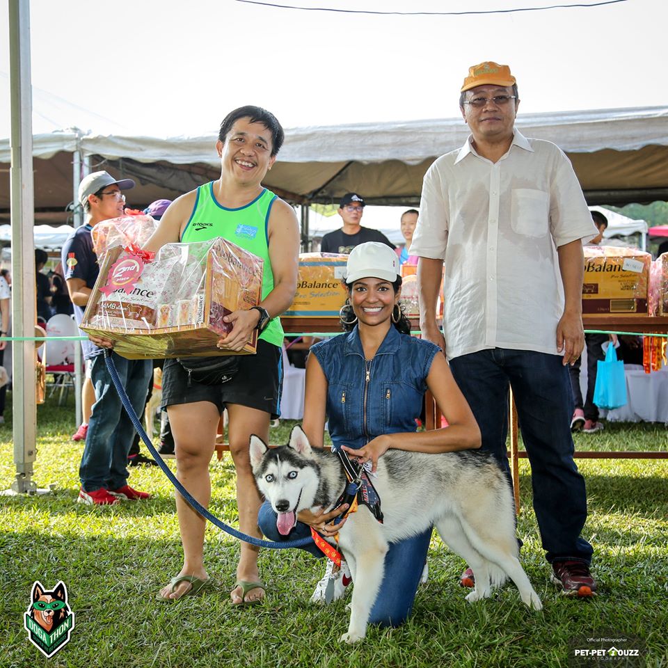 [Test] This Event In M'sia Has Over 700 Cute Doggos &Amp; Is Held In Conjunction With An Amazing Cause! - World Of Buzz 5