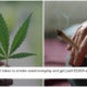 This Company Will Pay You Rm150K A Year Just To Smoke Weed Erry'Day - World Of Buzz