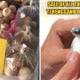 Turtle Eggs Are Not For Sale Bruh - World Of Buzz 3