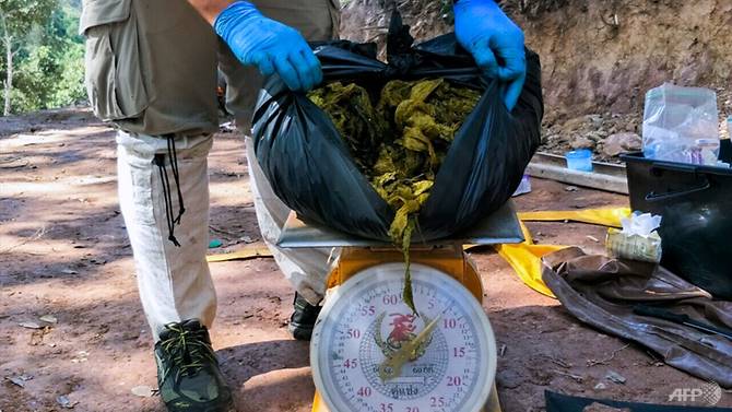 Underwear, Instant Noodles Packaging &Amp; Plastic Found In Stomach Of Wild Dead Deer - World Of Buzz 2
