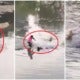 Video: Food Panda Rider Heroically Saves A Woman Who Committed Suicide In Klang River - World Of Buzz