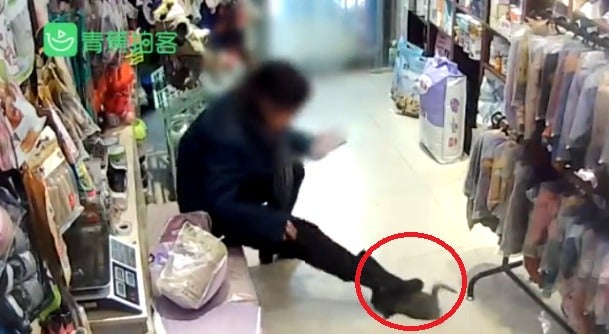 Video: Woman Brutally Throws & Steps On Kitten After Pet Shop Owner Refused to Give Her Refund - WORLD OF BUZZ 1
