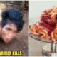 21Yo Man Beheaded Woman &Amp; Ate Her Brain With Rice Because She Talked To Him In English - World Of Buzz