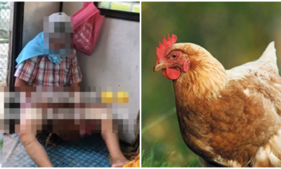 Old Kedah Man Rapes Poor, Helpless Chicken - World Of Buzz