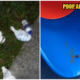 Parents Littered Diapers All Over Newly Opened Taman Tasik Titiwangsa, Left Poop All Over Slides - World Of Buzz
